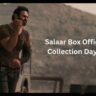 Salaar Box Office Collection Day 7